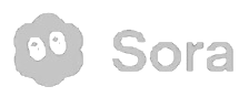 Sora watermark